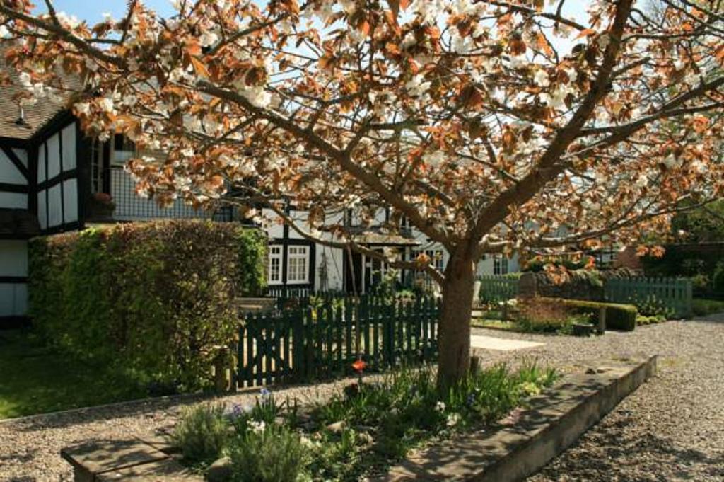 Peel Cottage, Dilwyn Room photo